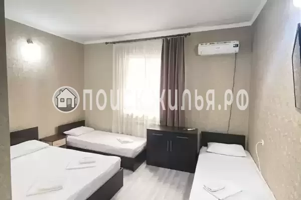 «Камелия 2»