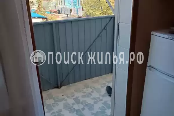 «Дельфин» «Дельфин»