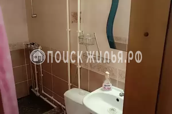 «Дельфин» «Дельфин»