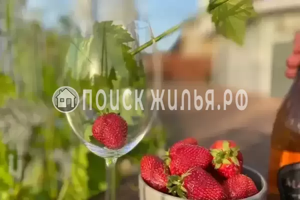 «Селена»