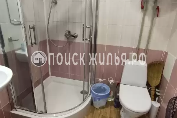 «Звездный берег»