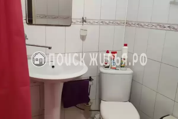 «Живой уголок» «Живой уголок»