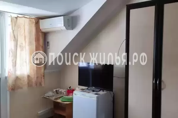 «Живой уголок» «Живой уголок»