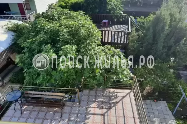 «Елизавета» «Елизавета»