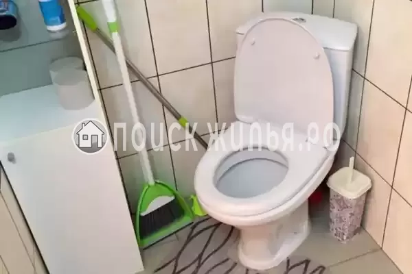 «Елизавета» «Елизавета»