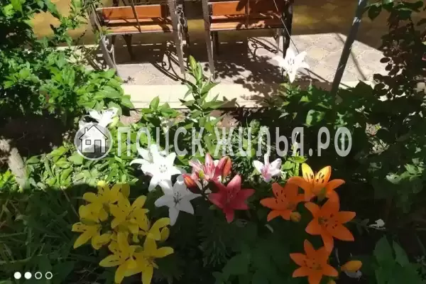 «Белая дача» «Белая дача»