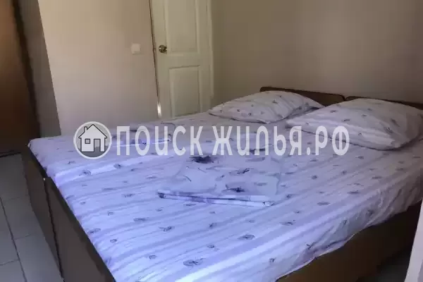 «Forest House» «Forest House»