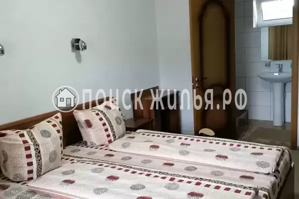 «Гербера» «Гербера»