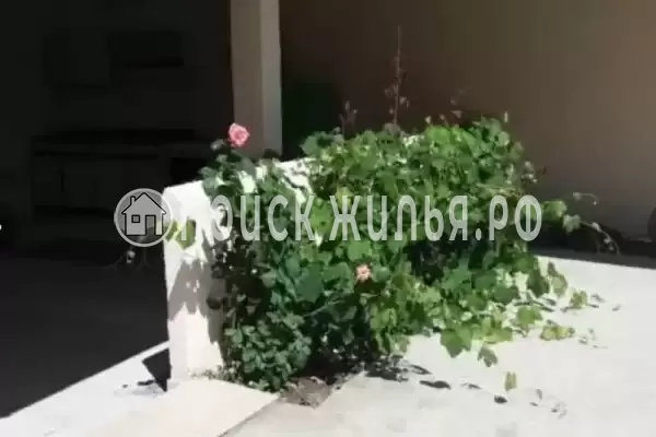 Гостевой дом «У Натальи» Гостевой дом «У Натальи»