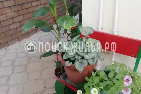 «Полянка»
