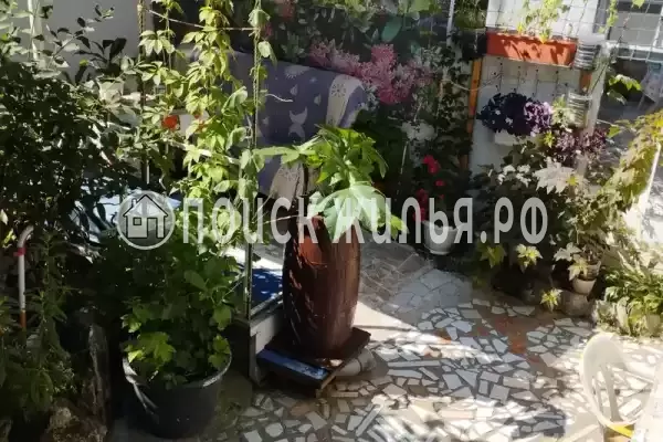 «До-Ре-Ми»