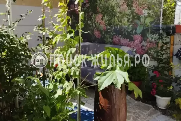 «До-Ре-Ми»