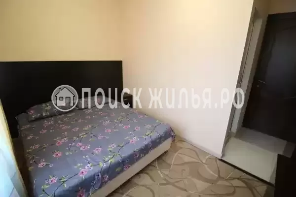 «Golden Ring» «Golden Ring»