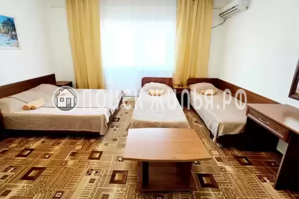 «Китёнок» «Китёнок»