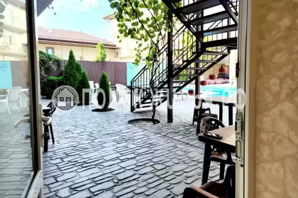 «Китёнок» «Китёнок»