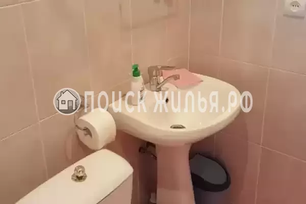 «Стелла» «Стелла»