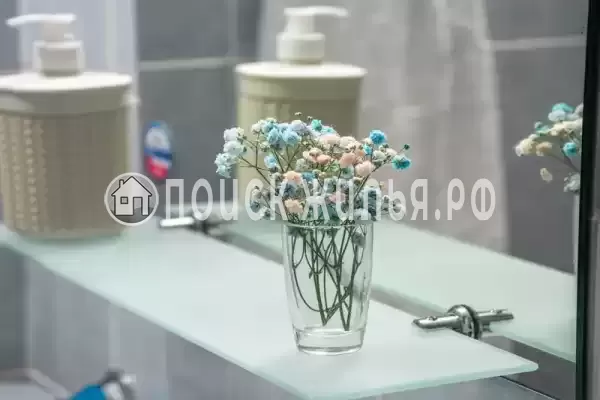 «Мадагаскар» «Мадагаскар»