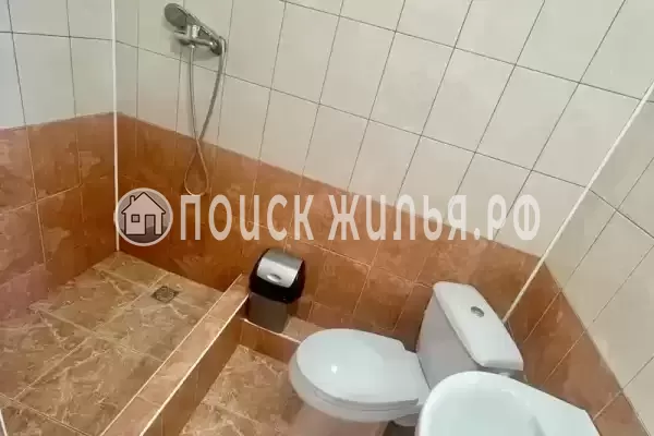 «Арина»