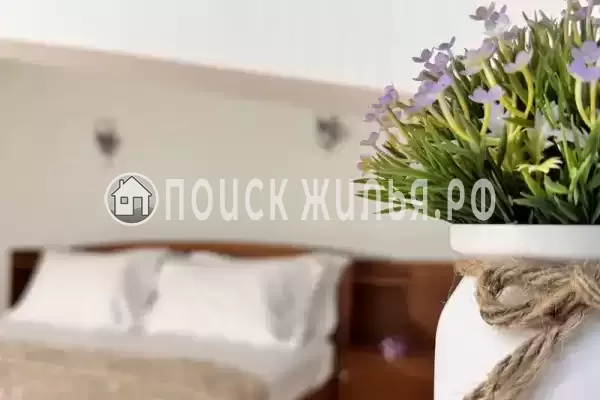 «Галатея» «Галатея»