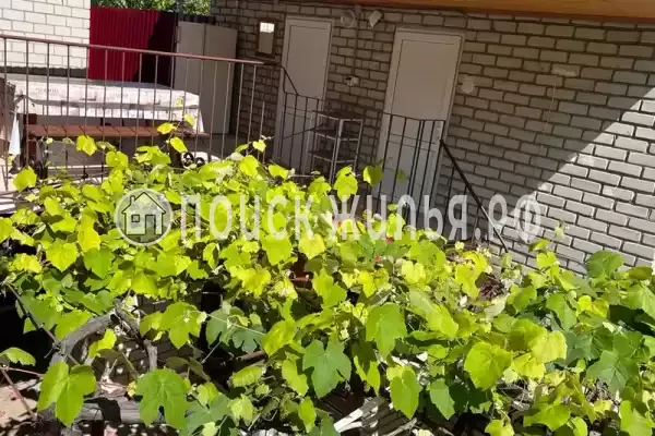 «На Самбурова» «На Самбурова»