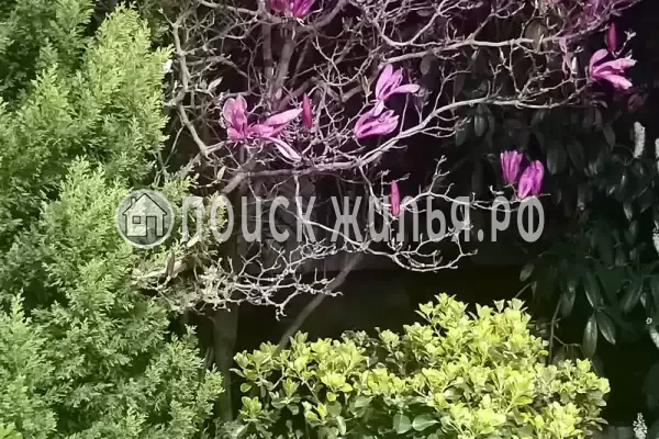 «Итинисан»