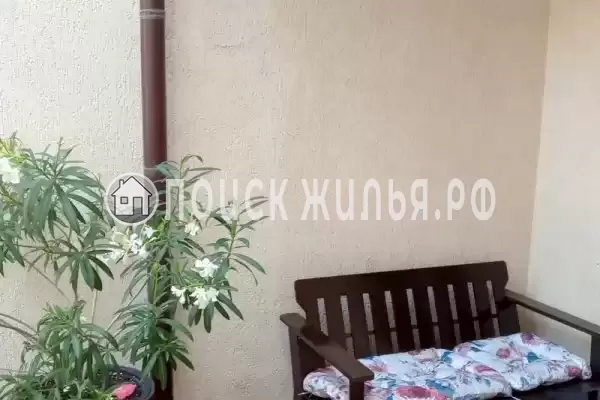 «Камелия»