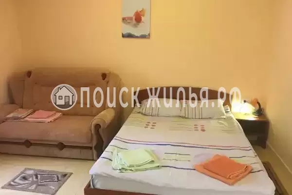 «Арена» «Арена»