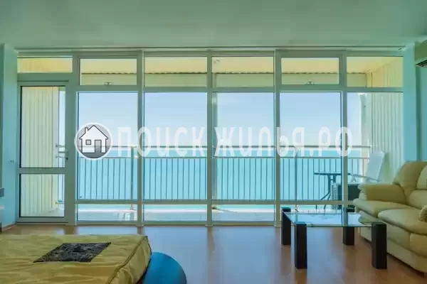 «Дельфин» «Дельфин»