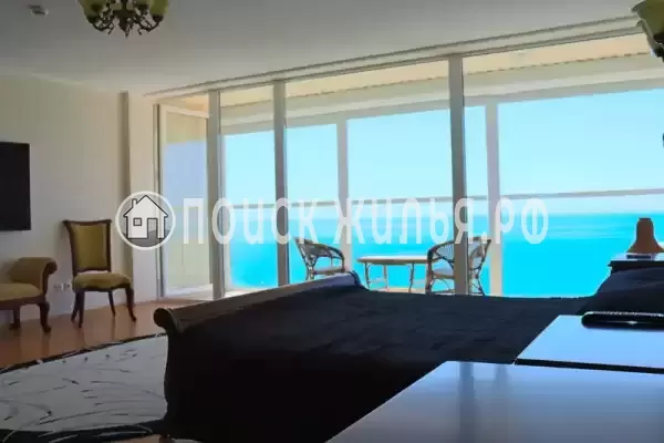 «Дельфин» «Дельфин»