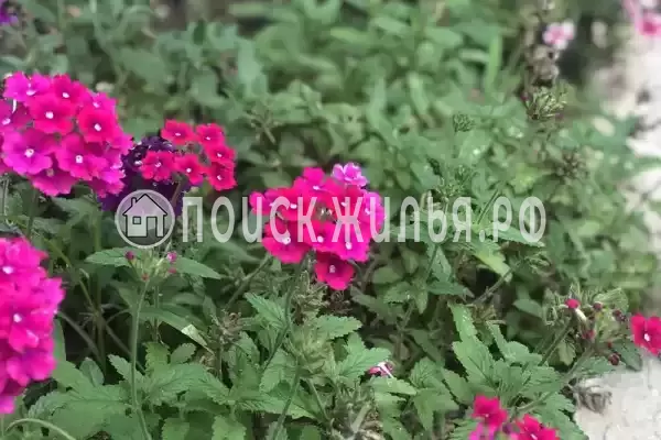 Гостевой дом «Эмида»