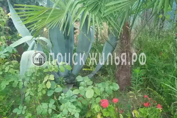 Гостевой дом «У Дианы»