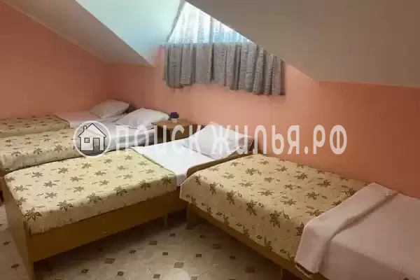 «Елизавета»