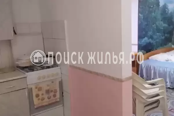 «Мишель»