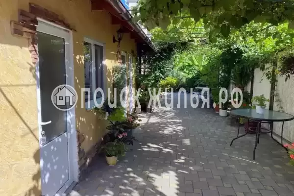 «Свит»