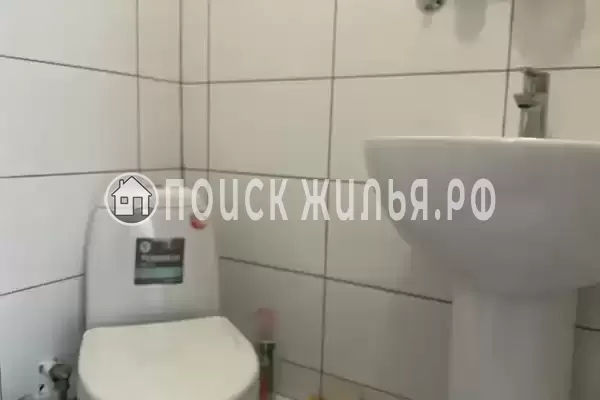 «Светлая» «Светлая»