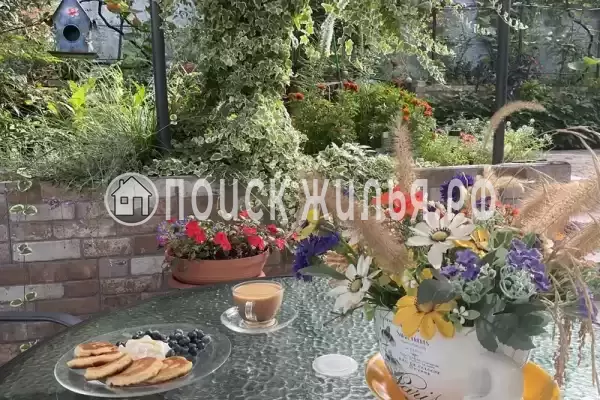 «Светлая» «Светлая»