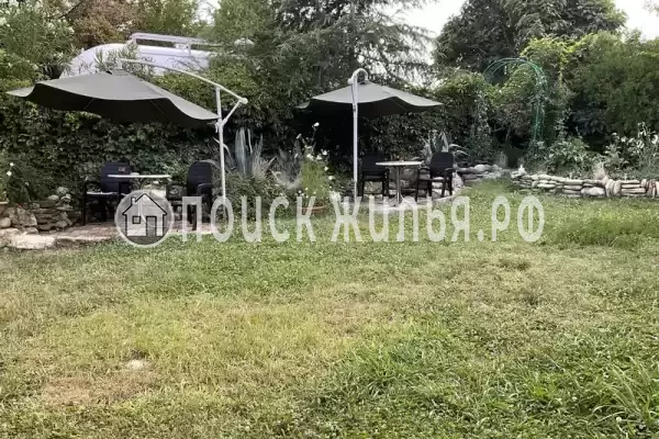 «Светлая» «Светлая»