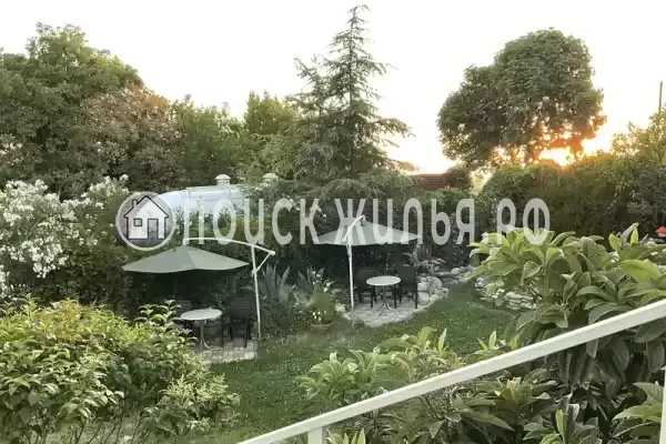 «Светлая» «Светлая»