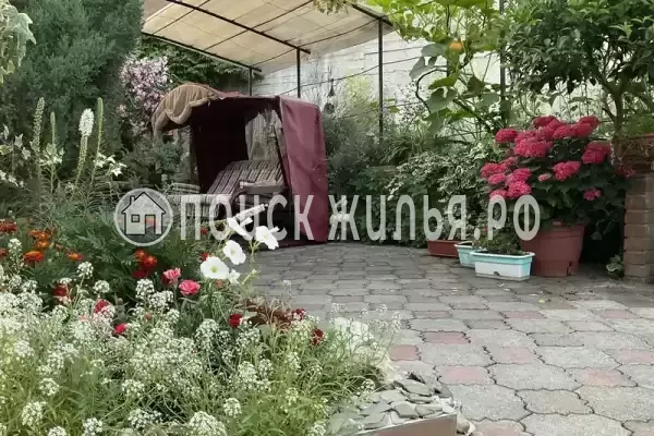 «Светлая» «Светлая»