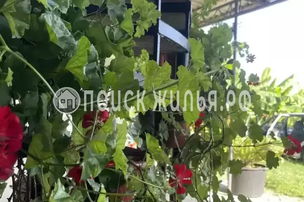 Гостевой дом «Мотя»