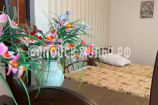 Гостевой дом «TeyMiya»