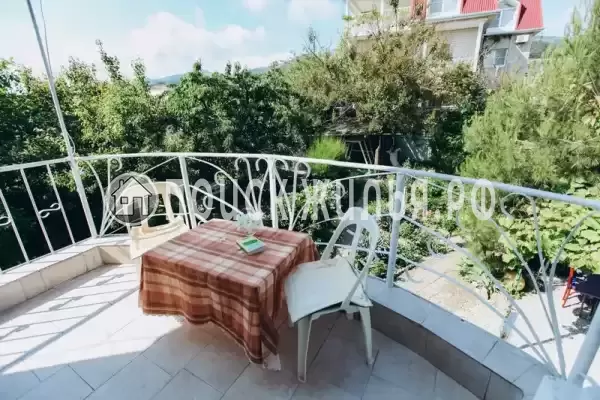«Green Oasis+»