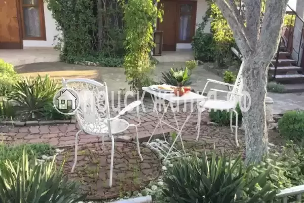 «Green Oasis+»