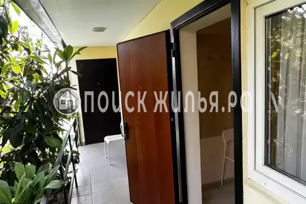 «ЦитруS» «ЦитруS»