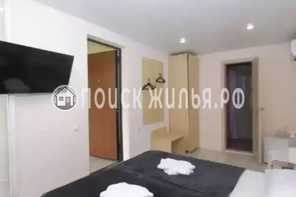 «ЦитруS» «ЦитруS»