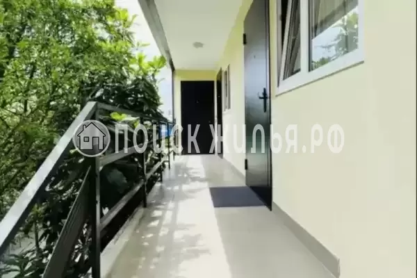 «ЦитруS» «ЦитруS»