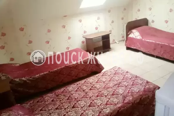 «Золотая рыбка»