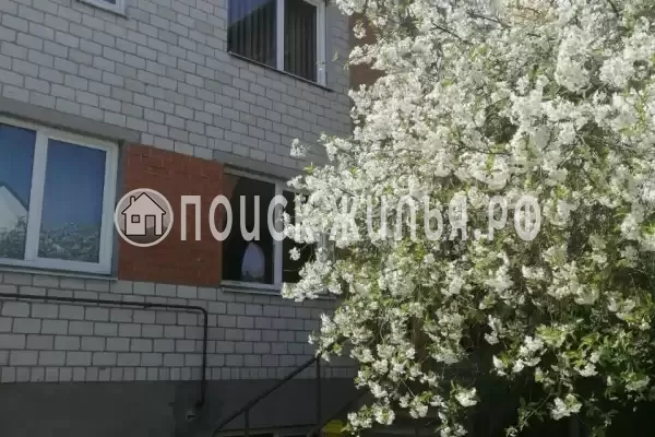 Гостевой дом «Раиса» Гостевой дом «Раиса»