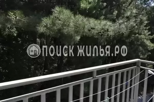 «Командор»