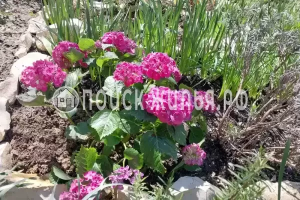 Дом под ключ «Гармония души»